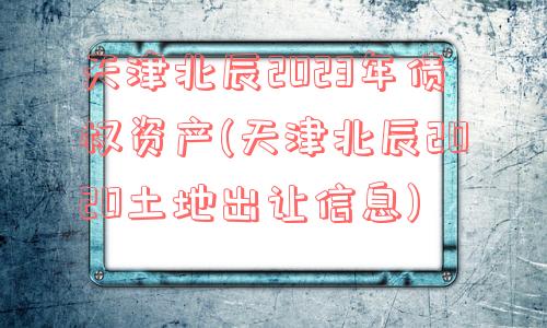 天津北辰2023年债权资产(天津北辰2020土地出让信息)