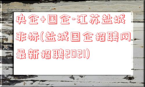 央企 国企-江苏盐城非标(盐城国企招聘网最新招聘2021)