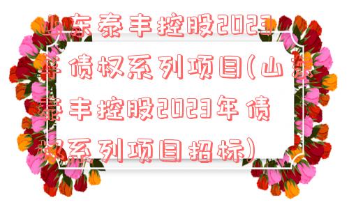 山东泰丰控股2023年债权系列项目(山东泰丰控股2023年债权系列项目招标)