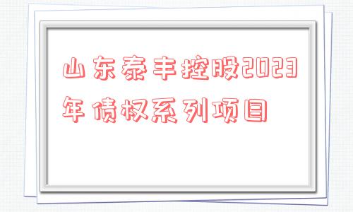 山东泰丰控股2023年债权系列项目