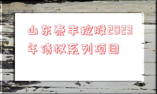 山东泰丰控股2023年债权系列项目