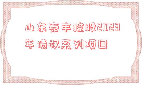 山东泰丰控股2023年债权系列项目