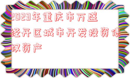 2023年重庆市万盛经开区城市开发投资债权资产