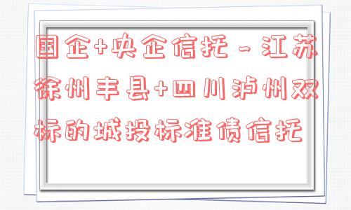 国企 央企信托～江苏徐州丰县 四川泸州双标的城投标准债信托