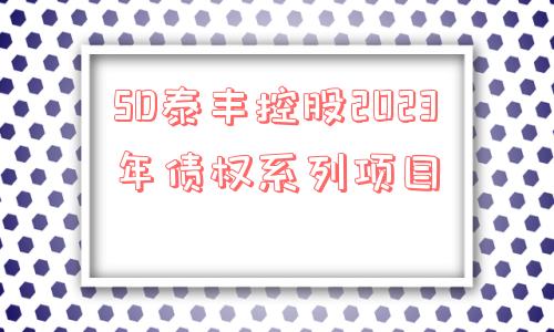 sd泰丰控股2023年债权系列项目