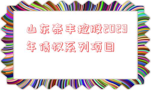 山东泰丰控股2023年债权系列项目