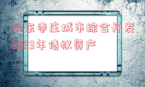 山东枣庄城市综合开发2023年债权资产